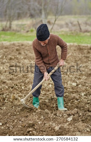 Senior man covering the potatoes with ground; sowing potatoes activity