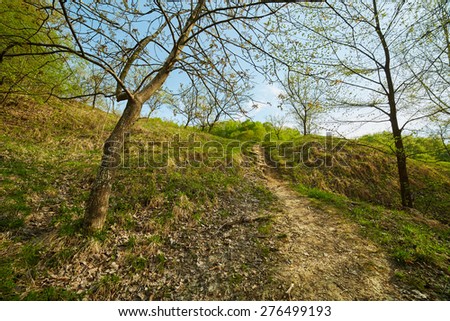 Landscape with hill climbing trail on springtime