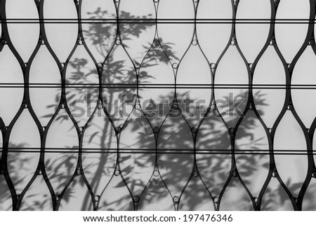 Diamond shaped pattern with a shadow trees background.