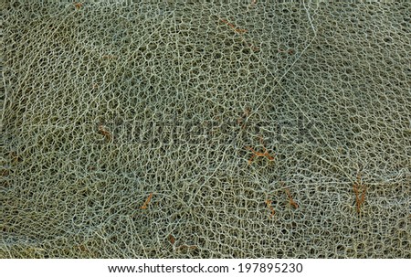 Grey wire netting packed together to make this texture.