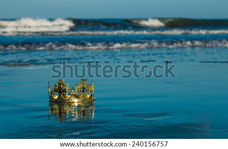 Golden kings crown that has been wash up on a beach.