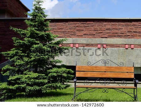 bench near a wall and tree