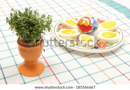 Closeup of cress in eggshell, halves of eggs and painted egg lying on colorful plate, watercress, Easter decoration