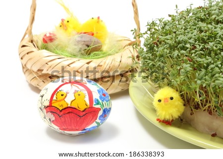 Closeup of funny Easter chickens, colorful painted Easter egg and fresh green cress on cotton pad, watercress, Easter decoration. Isolated on white background