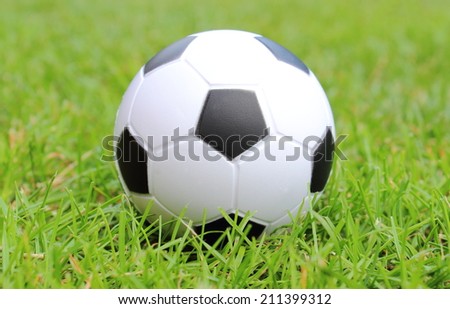 Small black and white stress ball lying on the green grass, soccer ball on the grass