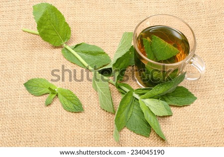 Fresh natural green mint and cup of beverage lying on burlap texture, mint brewed in cup, concept for healthy nutrition