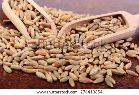 Heap of organic whole rye grain with wooden spoon