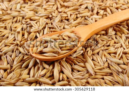 Heap of organic oat grains with wooden spoon, healthy food and nutrition