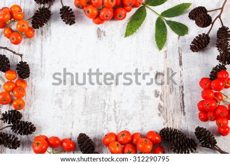 Frame of red autumn rowan with green leaves and alder cone with copy space for text, old rustic wooden background