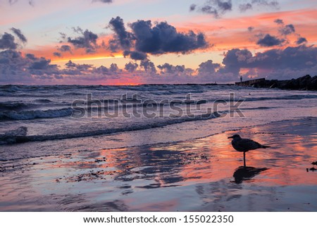 Right after sunset outstanding seascape view with sea gull in foreground with reflection while stormy weather on Baltic sea