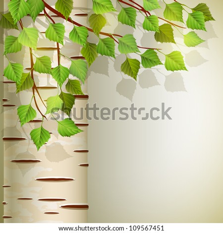 Birch Stock