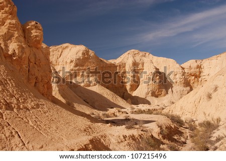 Negev desert, Israel, dry riverbed in canyon near Avdat.