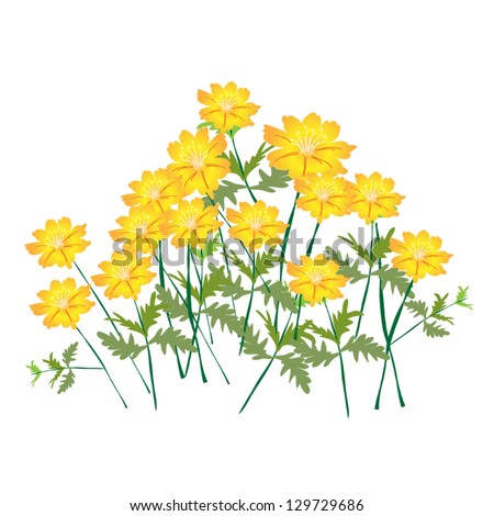 An Illustration Landscaping Tree Symbols or Isometric Trees and Plants of Cosmos Flowers for Garden Decoration