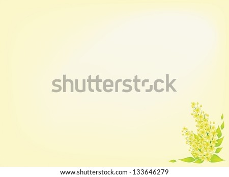 Beautiful Flower, An Illustration Yellow Color of Cassia Fistula or Golden Shower Flower on Yellow Background