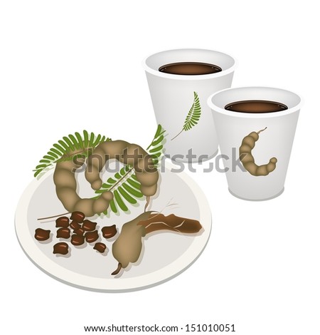 Coffee Time, A Cup of Hot Coffee with Fresh Brown Ripening Pods of Sweet Tamarind, Green Leaves and Seed Isolated On White Background