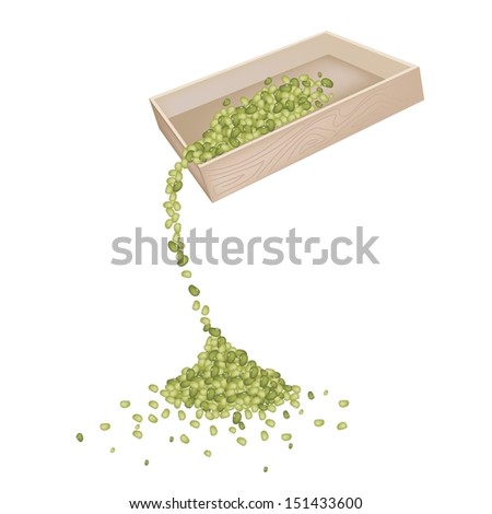 An Illustration Heap Of Mung Dried Beans Spilled from Wooden Box on The Floor Isolated on White Background
