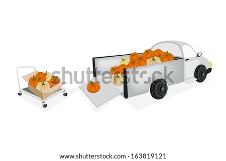 Hand Truck or Dolly Loading Fresh Raw Pumpkins into A Pickup, Ready for Shipping or Delivery.