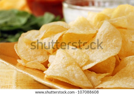 Potato chips with salsa, fresh veggies and party dip in soft focus in background.  Macro with shallow dof.