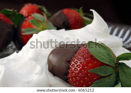 Chocolate covered strawberry nestled in a swirl of whipped topping with additional dipped berries in the background on a crystal plate.  Macro image with shallow dof and soft natural lighting.