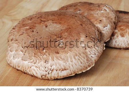 Portobello mushroom caps on wooden cutting board.  Macro with shallow dof