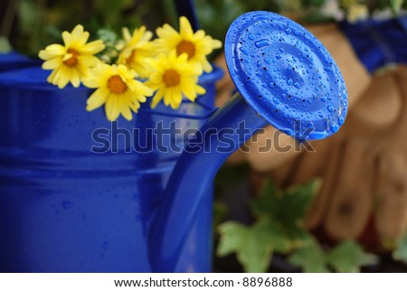 Gardening still-life with blue watering can.  Flowers and work gloves out of focus in the background.  Extremely shallow dof with focus on the water droplets on the spout