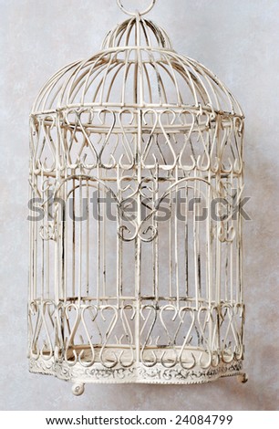 Birdcage Decorative