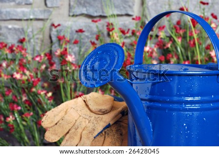 Blue metal watering can with stone wall, flowers and gloves in background.  Selective focus on spout with water droplets.  Shallow dof.