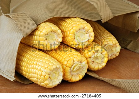 Fresh ears of yellow corn in reusable shopping bag.  Close-up with shallow dof.