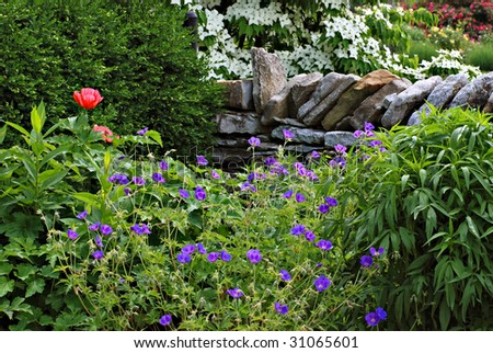 Garden scene with various flowers, greenery and section of stone fence.  Blooming dogwood trees in background.