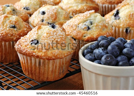 Freshly baked blueberry muffins on cooling rack with dish of blueberries.  Macro with shallow dof.