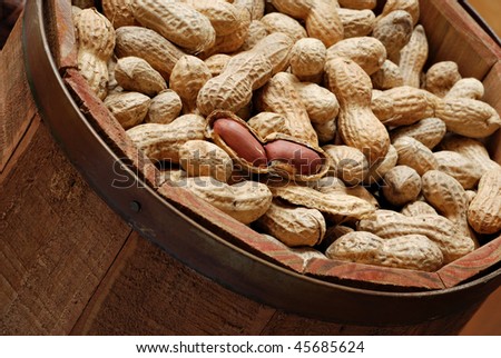 Rustic wooden barrel filled with roasted peanuts.  Close-up with shallow dof.  Focus on open shell.