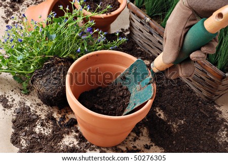 Gardeners hand in work glove with spade and dirt in clay pot.  Plants in background.  Close-up with shallow dof.  Focus on spade.
