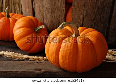 Rustic autumn still life with mini pumpkins on old wood with vintage basket in background.  Macro with shallow dof.