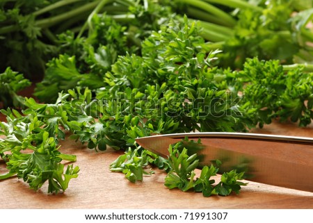 Fresh organic parsley with knife on wooden cutting board.  Macro with shallow dof.