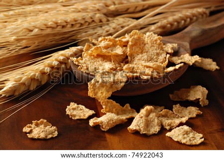 Wheat cereal spilling from wooden spoon with wheat spikes in background.  Macro with shallow dof.