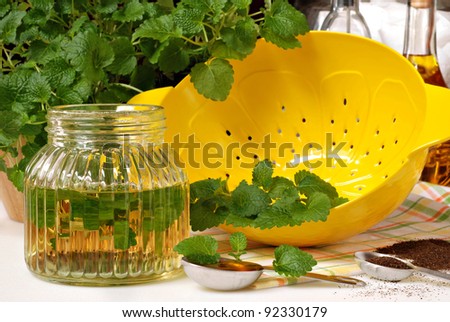 Fresh lemon balm herb (Melissa officinalis) with lemon shaped colander and ingredients for herbal tea and vinaigrette dressing.  Closeup with shallow dof.
