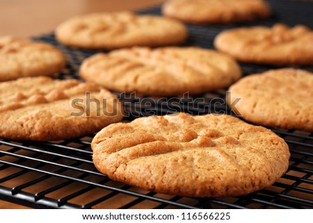 Freshly Baked Peanut Butter Cookies On Cooling Rack. Macro With Extremely Shallow Dof. Selective Focus Limited To Center Of Closest Cookie.