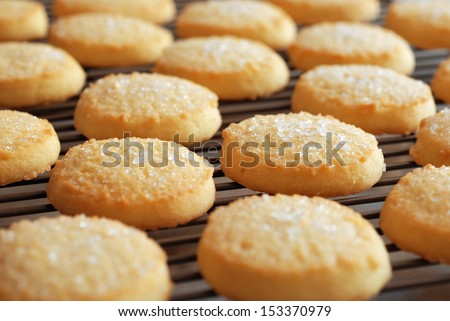 Freshly Baked Sugar Cookies On Cooling Rack. Closeup With Extremely Shallow Dof.
