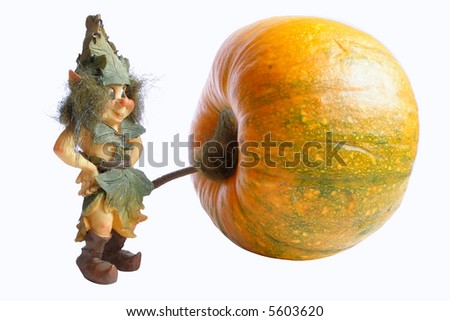 the figurine of gnome standing near the pumpkin
