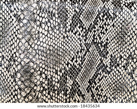 black and white patterns backgrounds. stock photo : lack and white