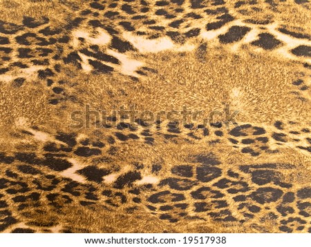Photo of the brown wild leopard background
