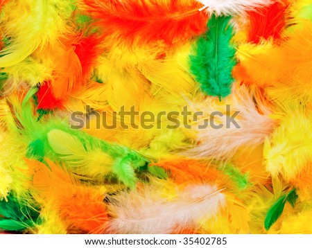 diffirent colors feathers background