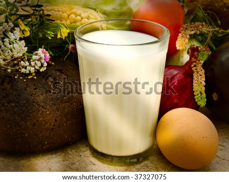 still life of different vegetables, milk, egg and flowers in dark tones