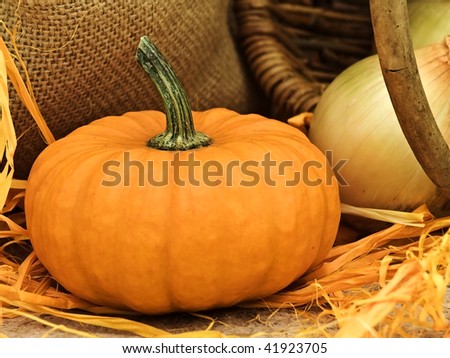 still life with pumpkin, basket, onion, linen and orange bows