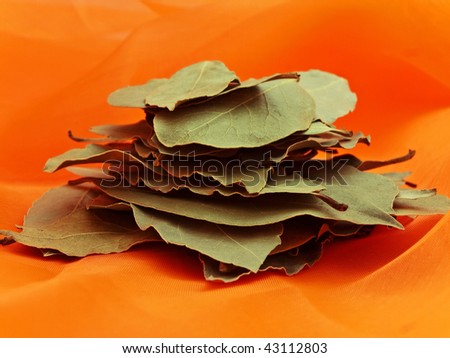 Photo of bay leaves stack at orange textile