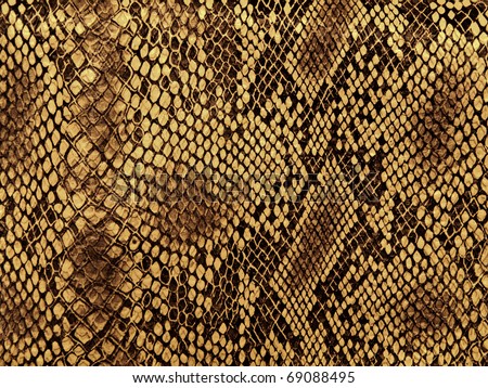 snake skin with the pattern lozenge style