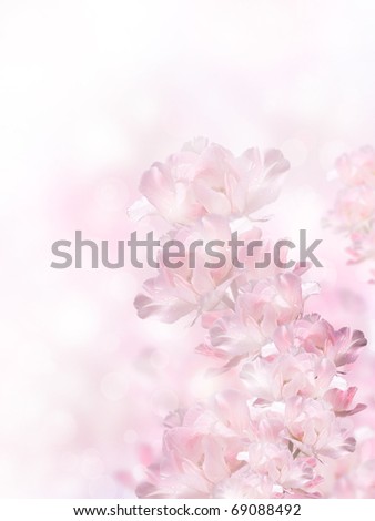 Pink spring flowers over the bokeh background