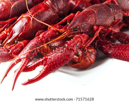 red boiled crawfishes over the white background