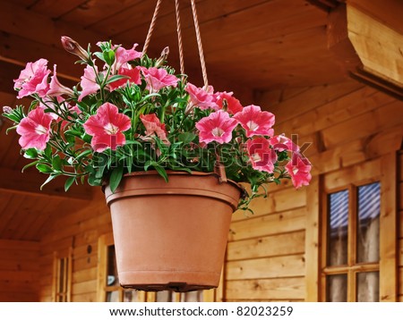 flower pot dangling from the roof of the house