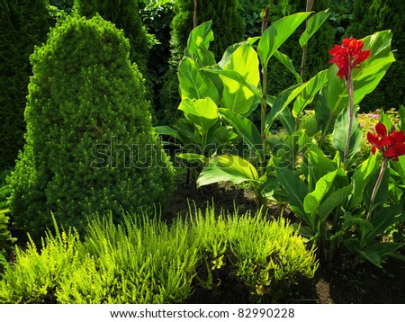 summer flower garden with green bushes and red flowers